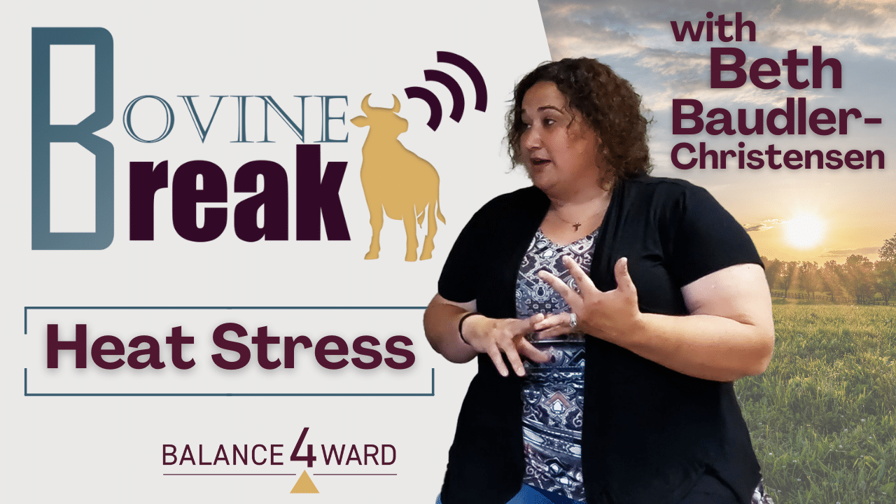 Heat Stress with Beth Baudler-Christensen